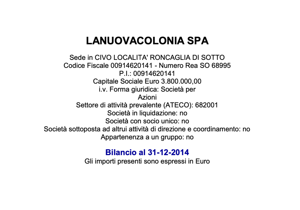 La Nuova Colonia spa assemblea 2015 Bilancio