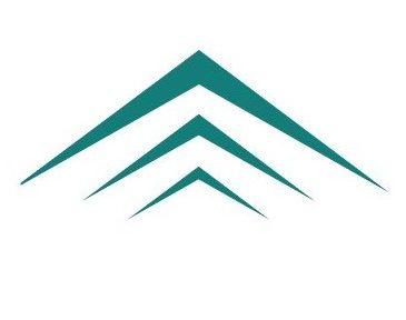 Logo Nuova Colonia SPA Solo frecce